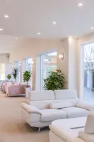 자연광과 그린플랜트가 어우러진 힐링 카페 공간